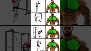 Best Chest Home Workout Plan 💪 #workout #shoulderworkout #chestworkout #shorts #sixpack #chestday