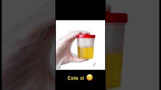 Muestras de laboratorio🥼