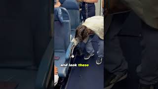 These two didn’t know they family #airplane #dad #son #flight #crazy #insane #funny #explore #shorts