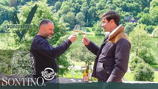 SONTINO- Der Bio Vegane Wein... Die aufstrebende Marke wird Vorgestellt