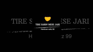 Tire Sabin Mese Juri santali song status #santali #santalivideo#shorts#trending #santaliblackscreen