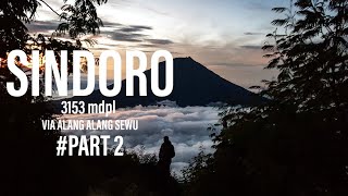 PENDAKIAN GUNUNG SINDORO VIA ALANG ALANG SEWU DITERPA HUJAN || PART II