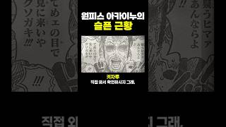 원피스) ‘아카이누’의 슬픈 근황..