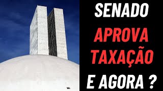 Senado APROVA TAXAÇÃO para compras ATE 50 DÓLARES ! E como ficará as importações ?