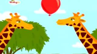 BabyTV The Animal Fair english