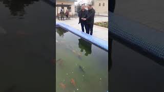 Узбекистан Мавзолей Зангиота Амбар-биби Карпы Кои | Влог Fishing PRO Темур | Тик Ток #Shorts