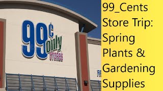 (Video 75) 99-Cents Store Tour | Vegetable Seedlings, Ornamentals, Decorations, & Garden Supplies.