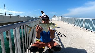 🔥🔥🔥 fishing in Spanish Harbor key Maratón 🔥🔥