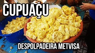 Despolpando Cupuaçu na despolpadeira METVISA