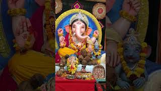 #ganesh#ganpatibappamorya#ganeshchaturthi#ganeshvisarjan#ganeshaarti#ganesha#ganpati#youtube#shorts