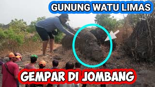 Viral❗Di kira batu biasa ternyata ular bertapa ratusan tahun sampai berlumut.