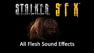 (S.T.A.L.K.E.R. SFX) - All Flesh Sound Effects