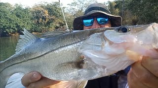 🔴 ROBALO PEVA nas Galhadas - Pesca com Caiaque - Luan Oliveira. #pescaria #pescaesportiva