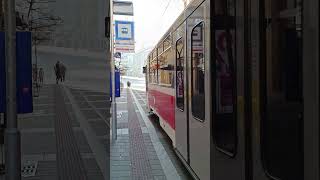 DPMB KT8D5N | Linka 4 | Náměstí Svobody, Brno | #tram #travel #train #transport #czech #brno #rail