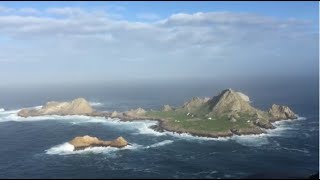 Restoring the Farallon Islands: A Critical Conservation Opportunity