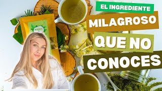 Moringa: Descubre el ingrediente milagroso que no conoces 🌿