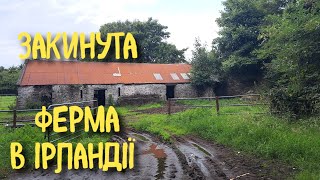 ОКОЛИЦІ BUNRATTY В ІРЛАНДІЇ🇮🇪СТАРА ФЕРМА