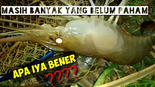 TERBUKTI KAN???...UDANG memang BISA DI PANCING,,,@Pemburuudangserayu#spot glempang-maos