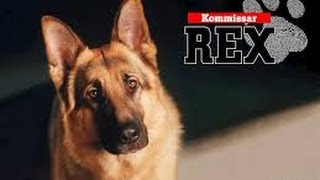 Kommissar Rex S03E02