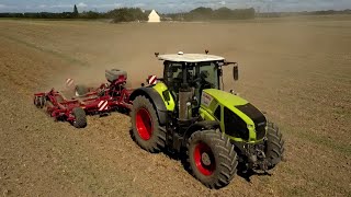 Claas Axion 930 et Horsch Mini Drill- Un monstre en Bretagne !