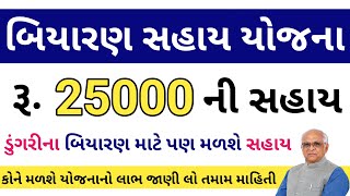 બિયારણ સહાય યોજના | બિયારણની ખરીદી માટે મળશે 25000 સુધી સહાય