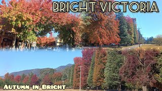 Bright Victoria walking tour | Autumn in Bright | Autumn leaves