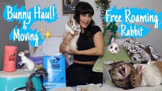 Bunny Supplies Haul ｜Moving Haul  🐾