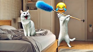 😹 You Laugh You Lose Dogs And Cats 🐱🙀 Funny Animal Videos 🙀