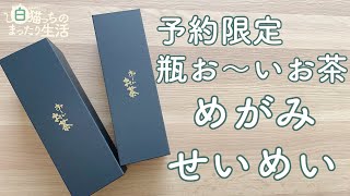 予約限定 瓶お〜いお茶 めがみ・せいめいを飲んでみました