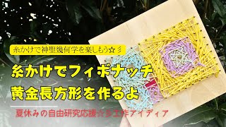 神聖幾何学・糸かけでフィボナッチ①黄金長方形を作るよ☆彡夏休み☆自由研究応援☆彡