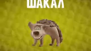 шакаал)