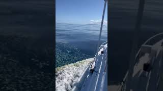 Video 2024 03 28 at 12 21 25 PM. Oil in tobago waters