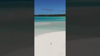 Aitutaki, Cook Islands | Remote Tropical Paradise | Best Island in the World #shorts #funemployedfam