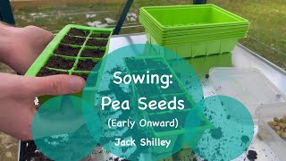 Sowing: Pea Seeds | Jack Shilley