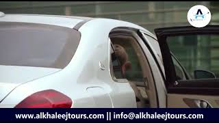 Alkhaleej Tours | Lets take you to your destination with our private cars