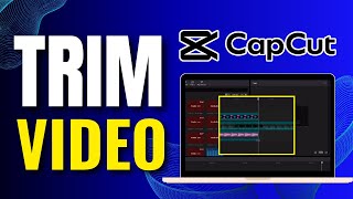 How To Trim Video in CapCut PC 2024