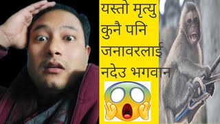 जनावरलाई लाग्यो बिजुलीको झट्का 😱| Animal Got Electron Shocked || #shorts #ytshorts #amazingfact