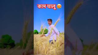 Gehu Kate Ke Naikhe Lur Balam 🥰❤️ #gehu #viral #video #trending #dancevideo #2024 #song