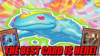 THE BEST CARD IS HERE! - [Yu-Gi-Oh! Master Duel]