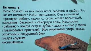 🐠ГИГИЕНА. ИЗ 📚 "МИР ПРИРОДЫ. РЫБЫ.🐠( Звук ставить выше)🐠