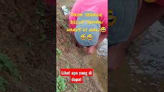 Bela belain belut disangka babon ternyata cacing