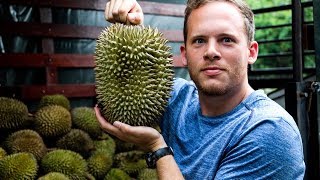 Americans Try Durian (Stinkiest Fruit in The World!)