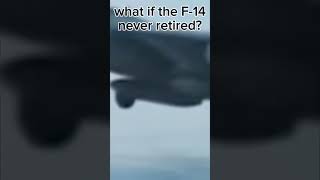 What if?....the F-14 Tomcat never got retired🤔 part 1#avgeeks #aviation #edit #fighterjet #shorts