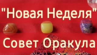 ✨️Новая Неделя✨️