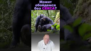 Секс не нужен?