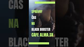 Café Alma, Správny čas