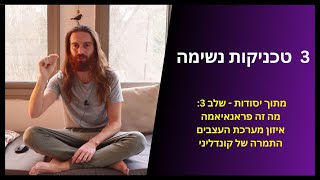 פראנאיאמה - 3 טכניקות נשימה לאיזון מערכת העצבים | יסודות - שלב 3