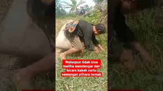 Walaopun tidak bisa melihat mendengar dan bicara kakek ini punya banyak ternak