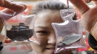 In China #Animals #Trapped Alive Are Sold As Keychains For $1.50