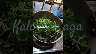 kalama saga #food  #odiarecipe